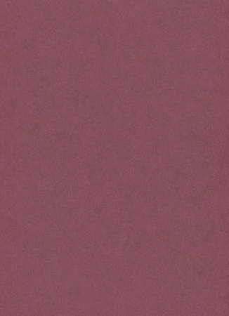 фото Erismann California Dreams 6370-06