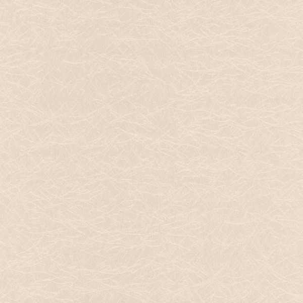 купить P+S International Tresor 42040-80