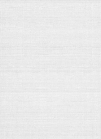 фото Erismann RollOver 3918-10 (3918-01)