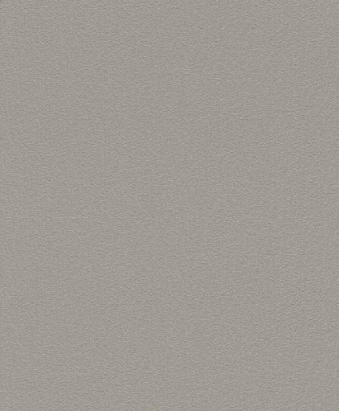 купить Rasch Home Vision VII 739251