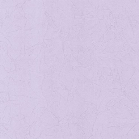 фото PS International Intense 02258-80