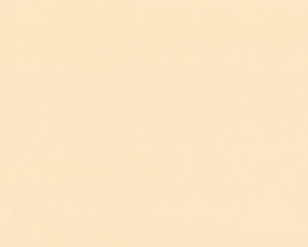 фото A.S.Creation Duetto 854636