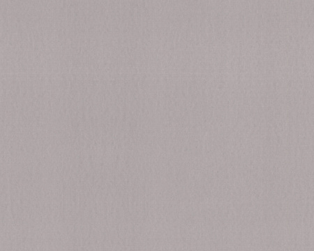 фото A.S.Creation Esprit 7 266163