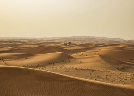 фото Rasch B.B Home passion 6 862430