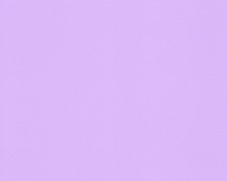 фото A.S.Creation Esprit 8 304841