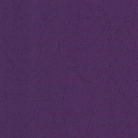 фото P+S International Intense 02258-60