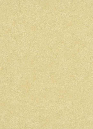 фото Erismann City Colours 9725-23