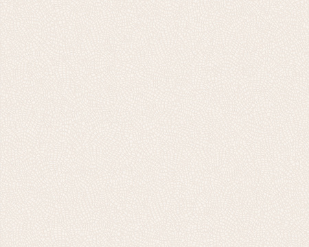 фото A.S.Creation Brigitte 131034