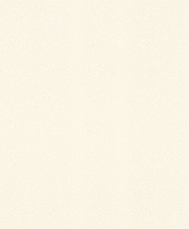 фото Rasch Modern Surfaces 2 607727