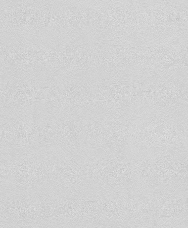 фото Rasch Naturalia 433777