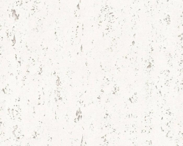 купить A.S.Creation Beton 364701