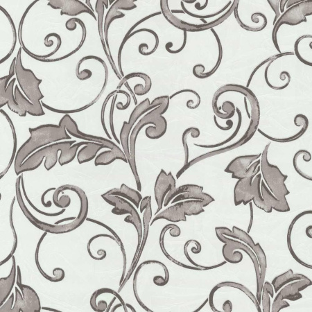 фото P+S International Intense 02260-40