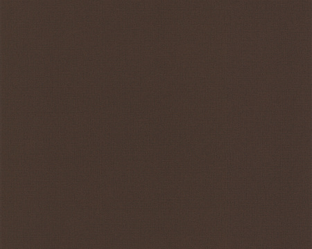 фото A.S.Creation Decora Natur 4 588265