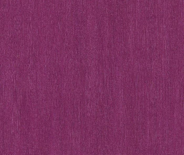 купить Rasch Intuicion 2011 733396