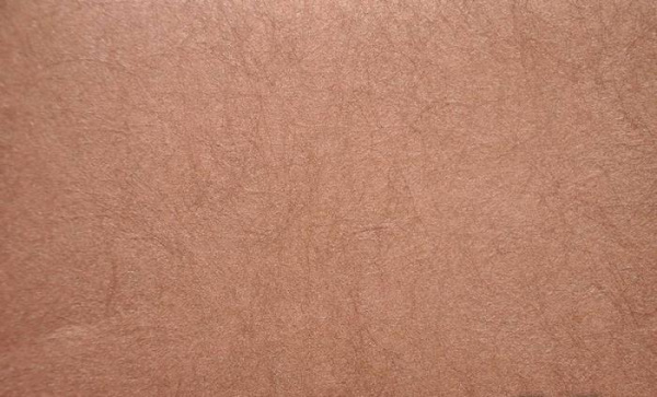 купить Rasch Gentle Divine 216027