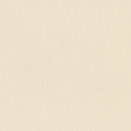 фото P+S International Jackpot 13238-50