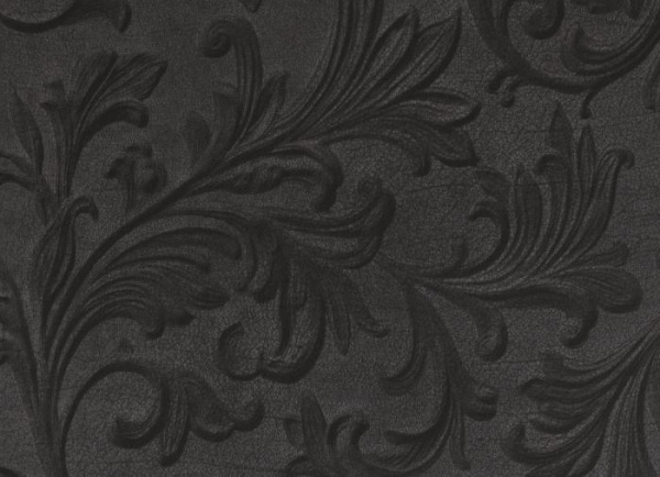 купить BN International Curious 17942