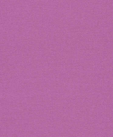 фото Rasch Flower Poetry 2015 451504