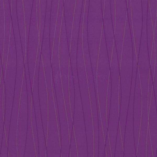 купить P+S International Belcanto 2014 13501-70