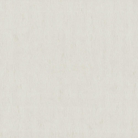 фото P+S International Intense 02256-10