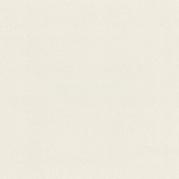 купить P+S International Graphics Alive 13268-20