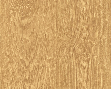 фото A.S.Creation Decora Natur 4 664815