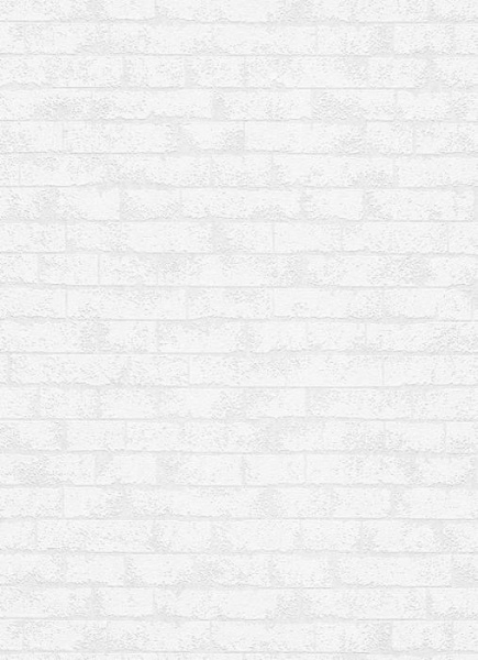 купить Erismann RollOver Deco 3 5303-10