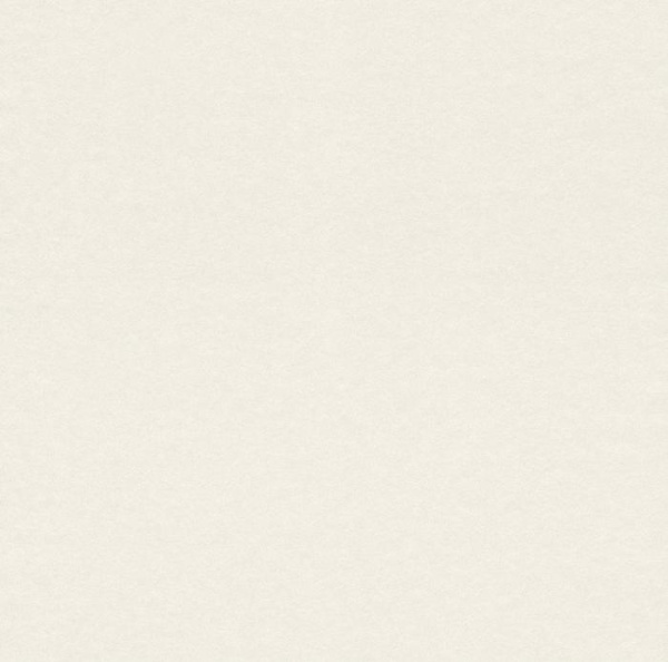купить Rasch Cosy White 2015 269368