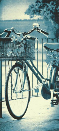 фото Sirpi Altagamma Lady 16792