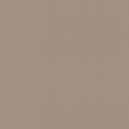 фото Rasch Gypso 610307