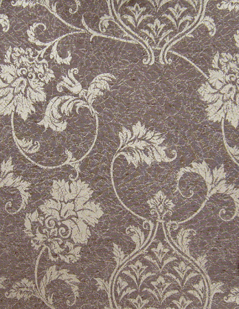 фото Calcutta Pride Pride_Pride309021