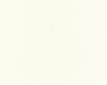 фото A.S.Creation Decora Natur 4 589149