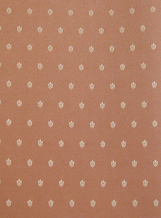 фото Calcutta Pride Pride_Pride309010