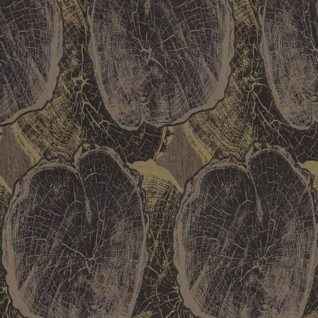 фото P+S International Studio Line 02429-40