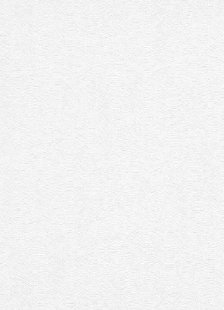 фото Erismann Robusto Vol.2 3913-01