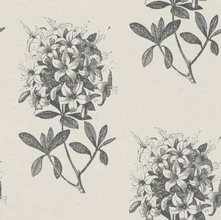 фото Rasch Sensual 15 398915