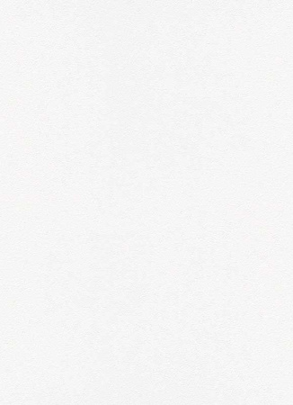 фото Erismann Up to date 6452-01