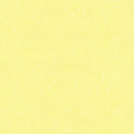 фото P+S International Easy Wall 13388-20