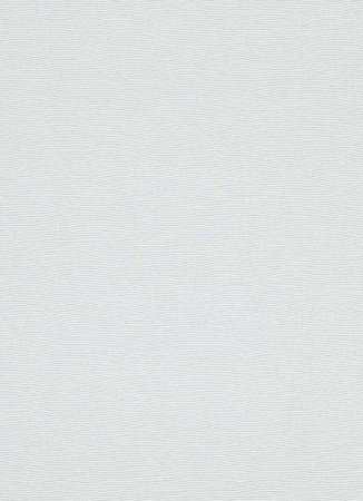 фото Erismann City Colours 6765-01