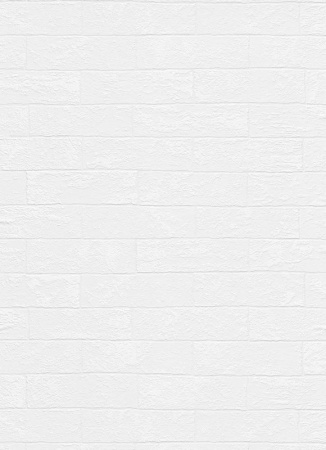 фото Erismann RollOver 5384-10 (5384-01)