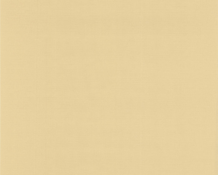 фото A.S.Creation Colour Courage 698971