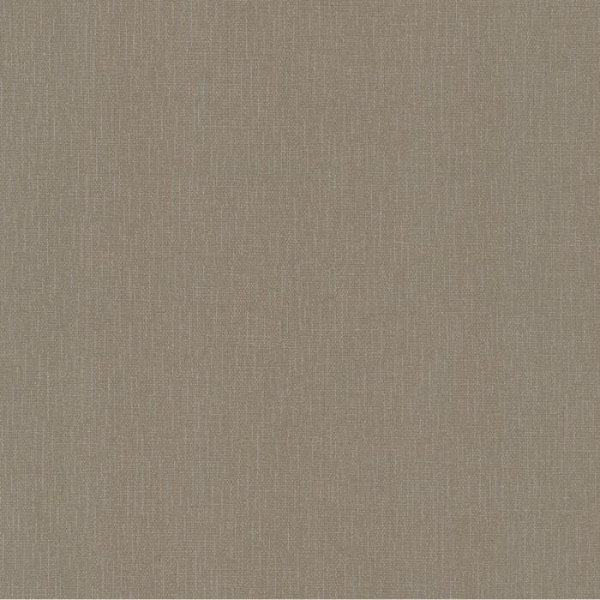 купить P+S International Sinfonia 2 02397-60