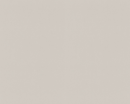 фото A.S.Creation Contzen 3 881519