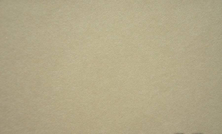 фото Rasch Gentle Divine 1623100