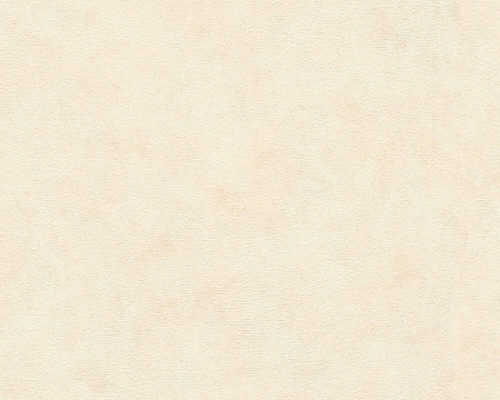 фото A.S.Creation Kind of white 34079-2