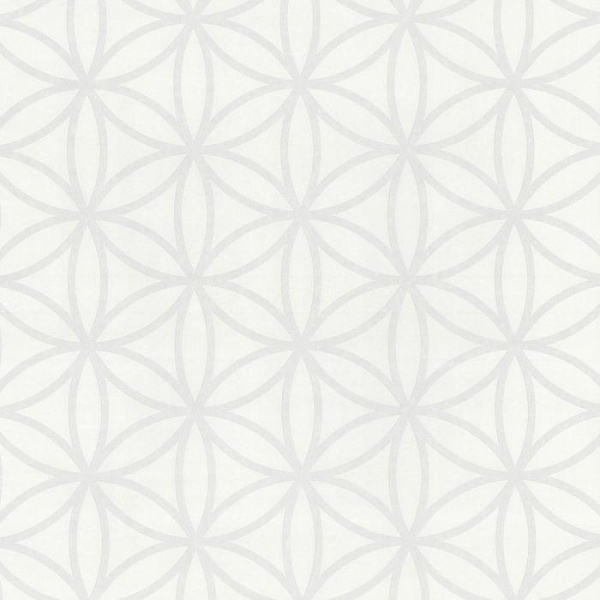 купить P+S International Graphics Alive 13263-10