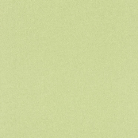 фото Rasch Seduction 2014 796353