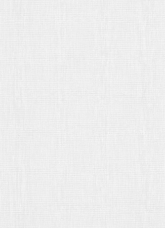 фото Erismann RollOver 5394-10 (5394-01)