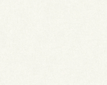 фото A.S.Creation Beton 366287