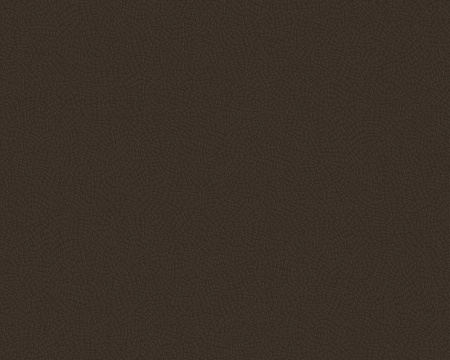 фото A.S.Creation Brigitte 131058